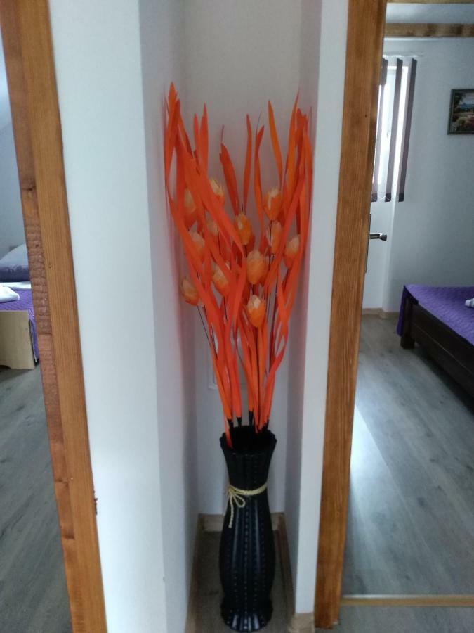 Apartman Nina Licko Petrovo Selo Dış mekan fotoğraf